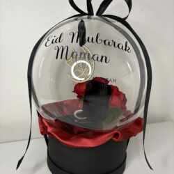 Bubbles Box L